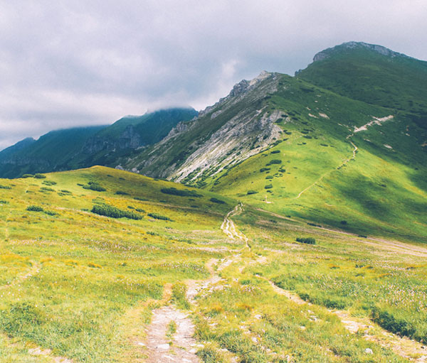 cc攻击免费网页版