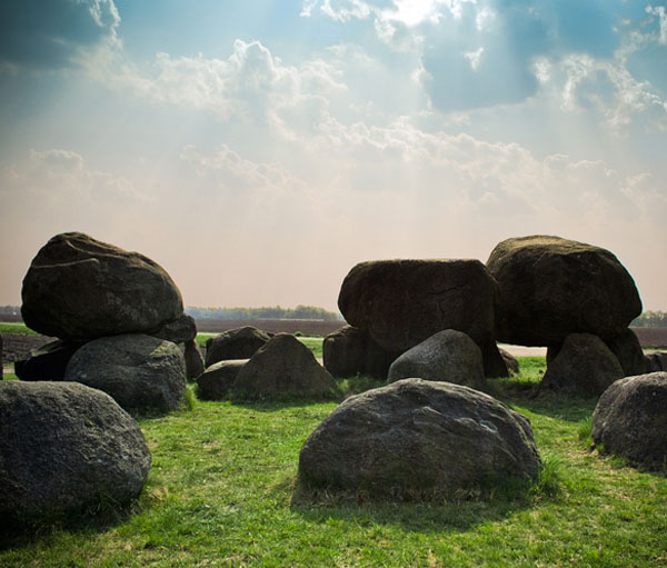 注册服务中心的cc网页端