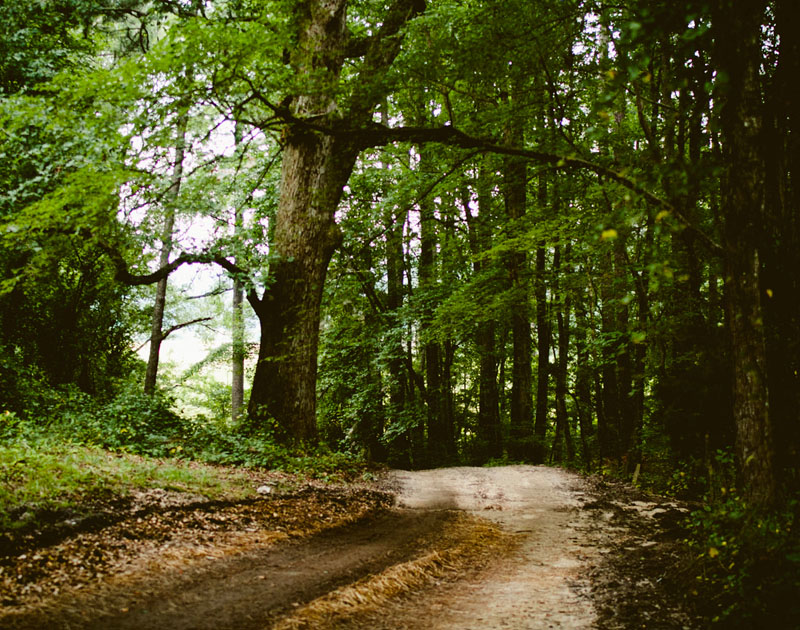 推荐一个攻击网站服务器